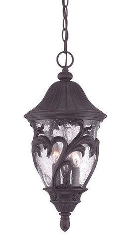 Exterior Hanging by Acclaim Lighting ( 106 | 39216BC Capri ) 