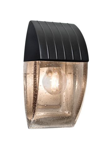 Exterior Wall Mt./Flush by Besa ( 74 | AQUACP-CL-EDIL-BK Costaluz Aqua ) 