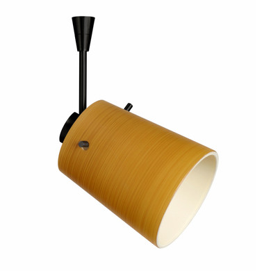 Multi-Systems Low Voltage Heads by Besa ( 74 | SP-5118OK-LED-BK Besa Tammi Spotlight ) 