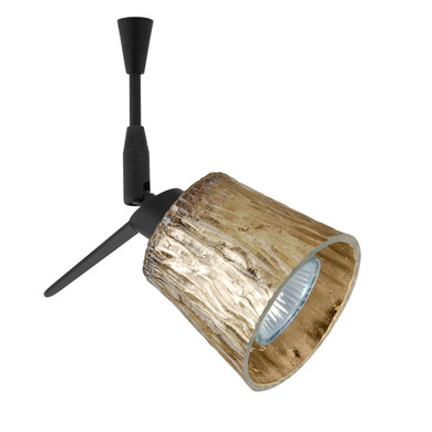 Multi-Systems Low Voltage Heads by Besa ( 74 | SP-5145GF-BK Besa Nico 3 Spotlight ) 
