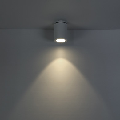 Flush Mounts Directional by Eurofase ( 40 | 30310-018 Lotus ) 