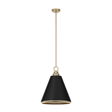 Pendants Metal Shade by Hunter ( 47 | 19446 Klein ) 