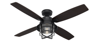 Fans Damp Location by Hunter ( 47 | 50391 Port Royale ) 