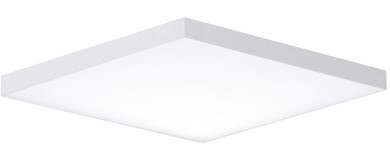 Utility Ceiling by Maxim ( 16 | 57675WTWT Trim ) 