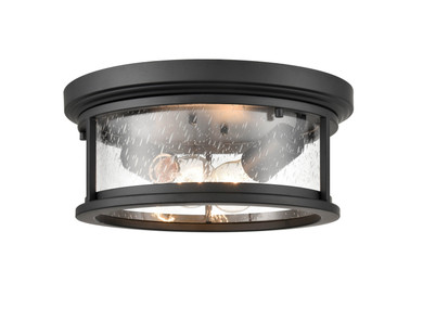 Exterior Ceiling Mount by Millennium ( 59 | 4402-PBK Bresley ) 