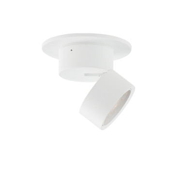 Flush Mounts Directional by Maxim ( 16 | 86240WT Swinger ) 