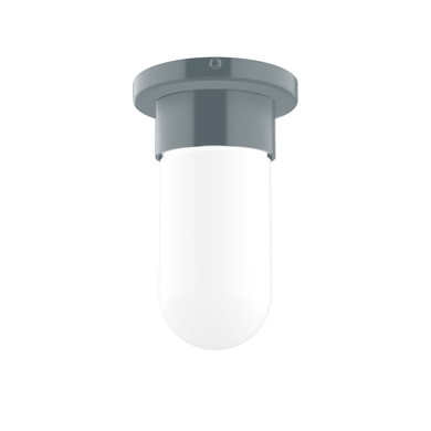 Flush Mounts Glass Down by Montclair Light Works ( 518 | FME040-40 Gambler ) 