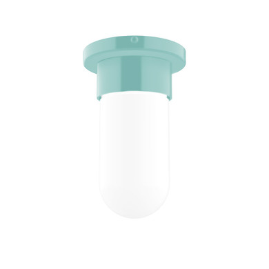 Flush Mounts Glass Down by Montclair Light Works ( 518 | FME040-48 Gambler ) 
