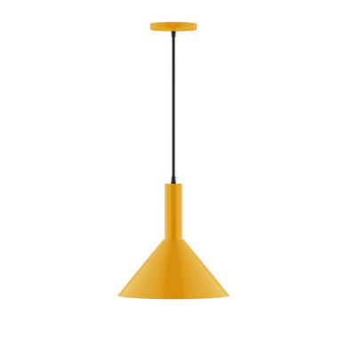 Pendants Metal Shade by Montclair Light Works ( 518 | PEBX466-21-C22 Chase ) 