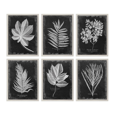 Home Accents Prints/Photography by Uttermost ( 52 | 33671 Foliage ) 