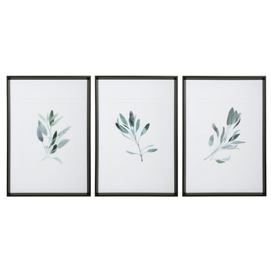 Home Accents Prints/Photography by Uttermost ( 52 | 33723 Simple Sage ) 