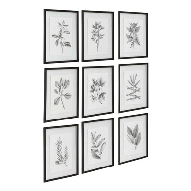 Home Accents Prints/Photography by Uttermost ( 52 | 41617 Farmhouse Florals ) 
