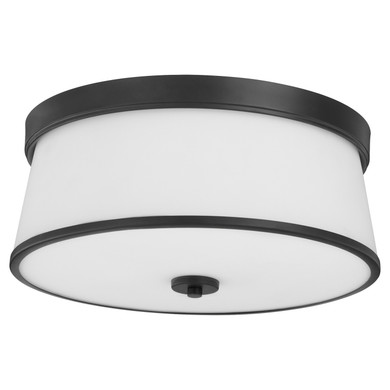 Flush Mounts Glass Down by Quorum ( 19 | 3203-16-59 Weir ) 