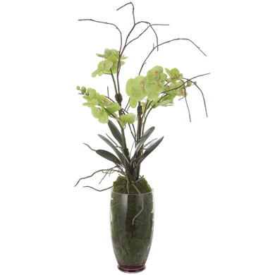 Home Accents Flowers/Greenery by Uttermost ( 52 | 60199 Valdive ) 