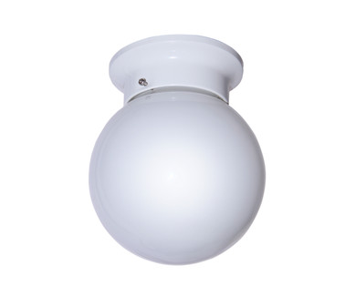 Utility Ceiling by Trans Globe Imports ( 110 | 3606 WH Dash ) 