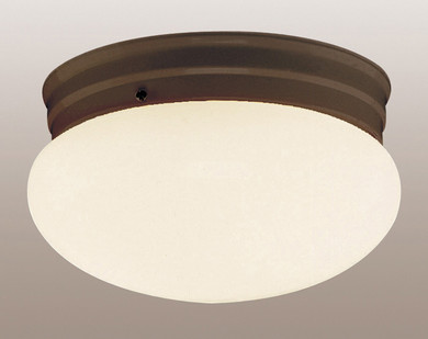 Utility Ceiling by Trans Globe Imports ( 110 | 3620 ROB Dash ) 