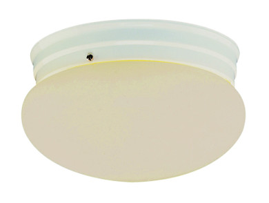 Utility Ceiling by Trans Globe Imports ( 110 | 3620 WH Dash ) 