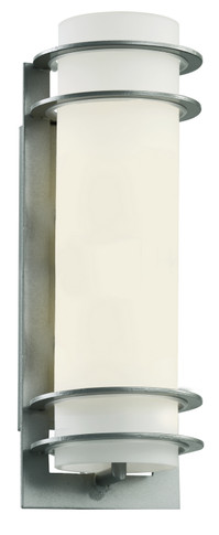 Exterior Wall Mount by Trans Globe Imports ( 110 | 40205 SL Zephyr ) 