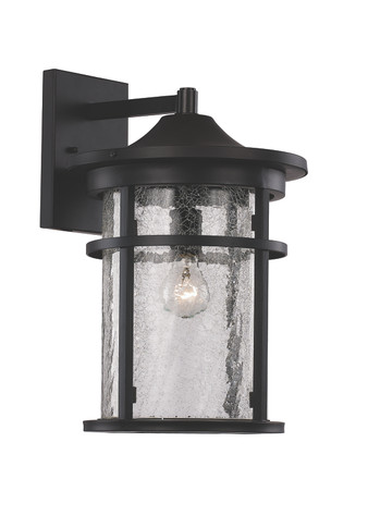 Exterior Wall Mount by Trans Globe Imports ( 110 | 40381 BK Avalon ) 