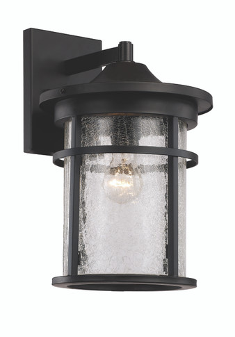 Exterior Wall Mount by Trans Globe Imports ( 110 | 40382 BK Avalon ) 