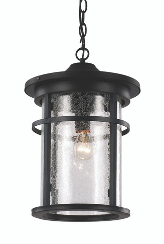 Exterior Hanging by Trans Globe Imports ( 110 | 40385 BK Avalon ) 