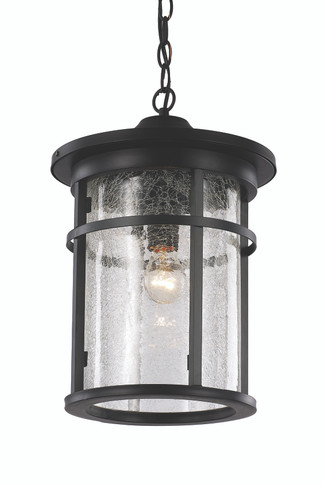 Exterior Hanging by Trans Globe Imports ( 110 | 40386 BK Avalon ) 