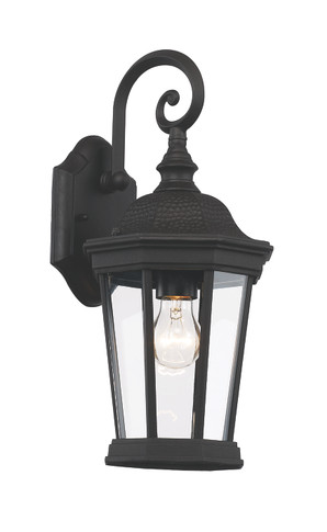 Exterior Wall Mount by Trans Globe Imports ( 110 | 40400 BK Westfield ) 