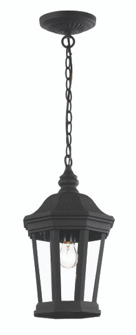 Exterior Hanging by Trans Globe Imports ( 110 | 40405 BK Westfield ) 