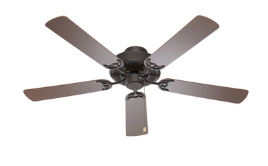 Fans Ceiling Fans by Trans Globe Imports ( 110 | F-1001 ROB Seltzer ) 