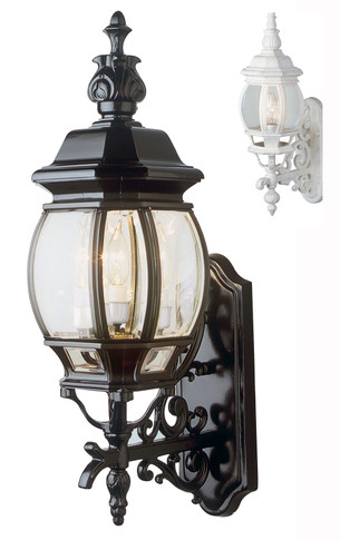 Exterior Wall Mount by Trans Globe Imports ( 110 | 4051 WH Francisco ) 