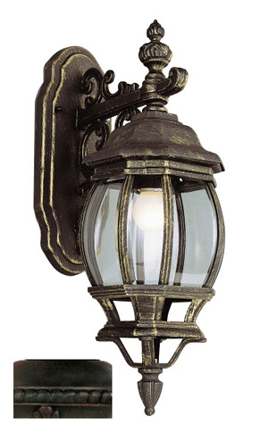 Exterior Wall Mount by Trans Globe Imports ( 110 | 4053 RT Francisco ) 
