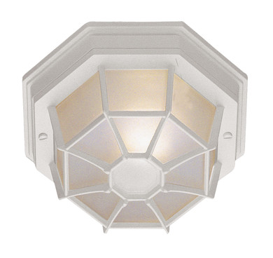 Exterior Ceiling Mount by Trans Globe Imports ( 110 | 40581 WH Benkert ) 
