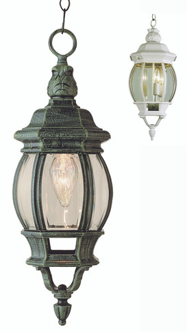 Exterior Hanging by Trans Globe Imports ( 110 | 4065 WH Parsons ) 