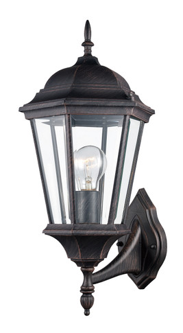 Exterior Wall Mount by Trans Globe Imports ( 110 | 4250 RT San Rafael ) 