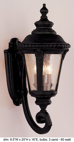 Exterior Wall Mount by Trans Globe Imports ( 110 | 5041 BK Commons ) 