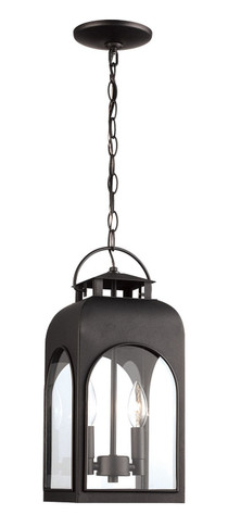 Exterior Hanging by Trans Globe Imports ( 110 | 51283 BK ) 