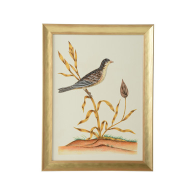 Home Accents Prints/Photography by Wildwood ( 460 | 387217 Bill Cain ) 