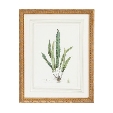 Home Accents Prints/Photography by Wildwood ( 460 | 380372 Chelsea House Misc ) 