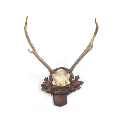 Home Accents Dimensional Wall Art by Wildwood ( 460 | 381082 Bill Cain ) 