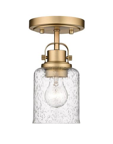 Semi-Flush Mts. Directional by Z-Lite ( 224 | 340F1-HG Kinsley ) 