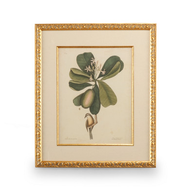 Home Accents Prints/Photography by Wildwood ( 460 | 386177 Chelsea House Misc ) 