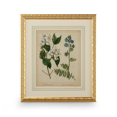 Home Accents Prints/Photography by Wildwood ( 460 | 386236 Chelsea House Misc ) 