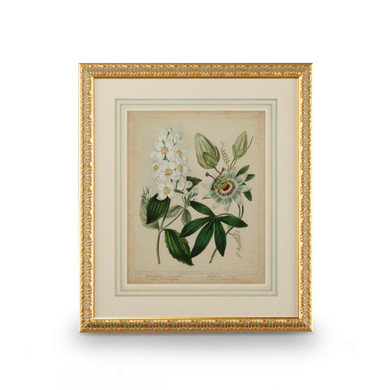 Home Accents Prints/Photography by Wildwood ( 460 | 386237 Chelsea House Misc ) 