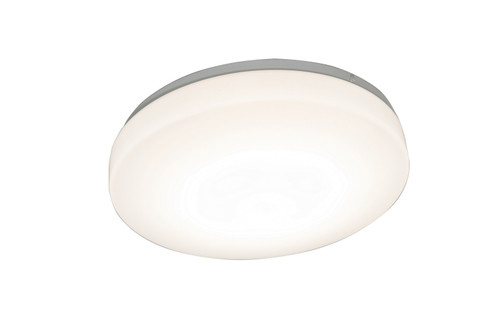 Utility Ceiling by AFX Lighting ( 162 | C2F143400L30MV Cirrus ) 