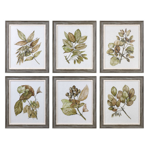 Mirrors/Pictures Prints by Uttermost ( 52 | 33643 Seedlings ) 