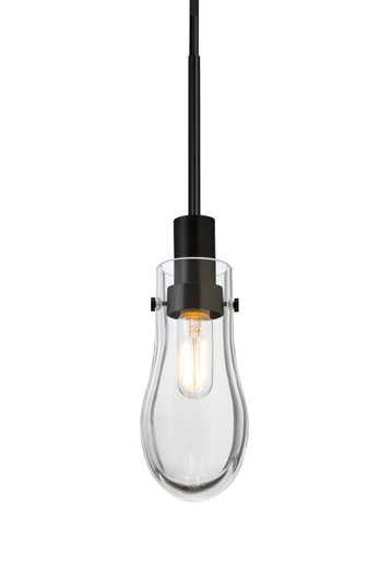 Multi-Systems Line Voltage Pendants by Besa ( 74 | 1JT-WISHCL-BK Wish ) 