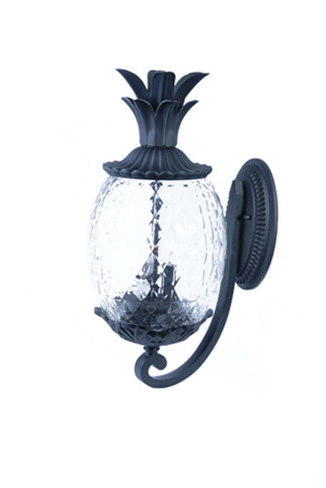 Exterior Wall Mount by Acclaim Lighting ( 106 | 7501BK Lanai ) 