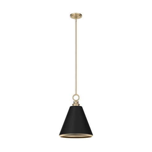 Pendants Metal Shade by Hunter ( 47 | 19444 Klein ) 