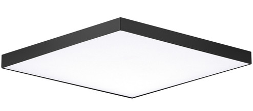 Utility Ceiling by Maxim ( 16 | 57675WTBK Trim ) 
