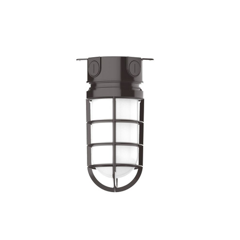 Exterior Ceiling Mount by Montclair Light Works ( 518 | FMC050-51-G07 Vaportite ) 